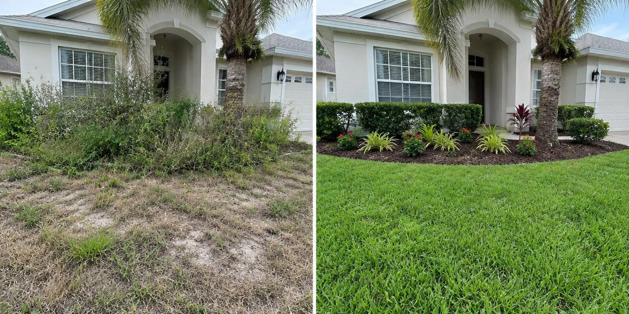 Before: Illustrative comparison of an overgrown front yard and the same yard with fresh landscaping and sod